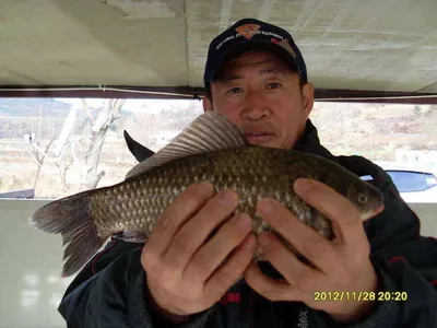 당진 "가교리지" 겨울 물 낚시 토종 큰 붕어와 함께..