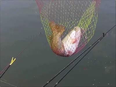 [유일낚시터] 손목을 다치셨다네요