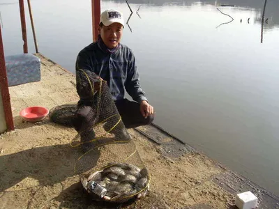 [당진 가교리지] 조황정보..