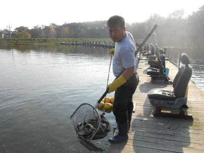 ^^송어 루어&플라이 낚시 조황^^