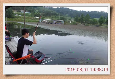 충남 아산 월선낚시터 8월 첫재주 조황정보