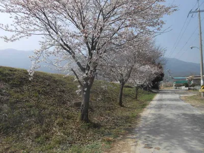 ^^조황소식과개장소식^^