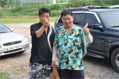 [유일낚시터] 덥지만조황 굿입니다,~!