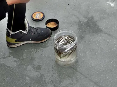 이천빙어축제 2월2일 조황정보