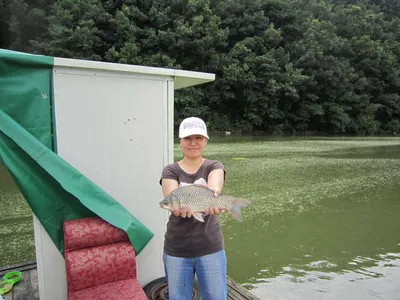 봉림지 4자 월척들...