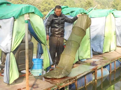 *****실시간 조황사진*****