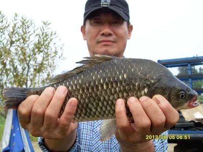 당진"가교리지" 풍경과 토종 어자원 조성..
