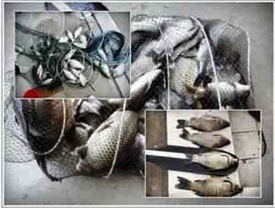 [각평지] 4월 21일(토) 비오는 각평 호조황과 월척