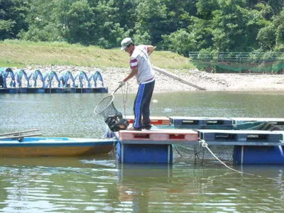*****실시간 조황사진*****