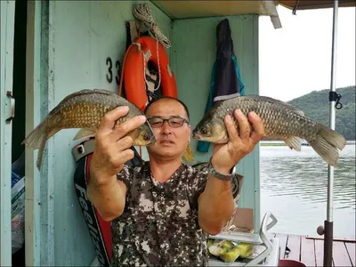 17.08.15 송전지 서울집 조황