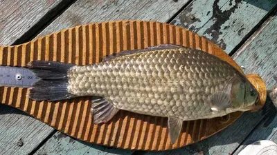 송전서울5월26일조황