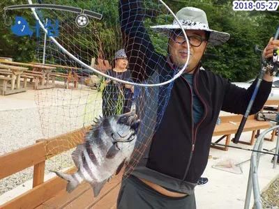 5월27일 어심바다낚시터조황