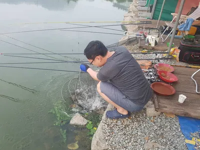 [경기도 안성] 거청낚시터 붕어조황  8월  18 일
