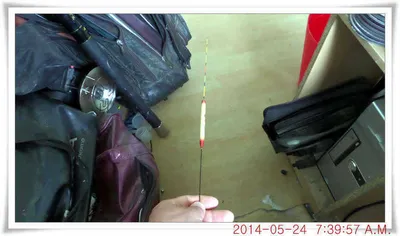 충남 아산 월선낚시터 5월 24일자 조황정보