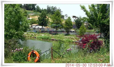 충남 아산 월선낚시터 5월30일자 조황정보