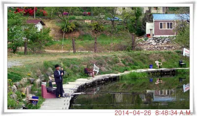 충남 아산 월선낚시터 4월 26일자 조황정보