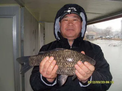 방류에서 포획까지..