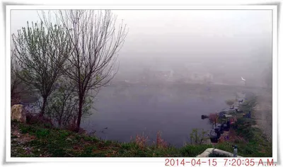 충남 아산 월선낚시터 4월 15일자 조황정보