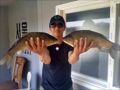 17.04.24 송전지 서울집 두마리의 4짜...