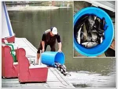 [각평지] 7월 13일(금) 어자원 방류 소식