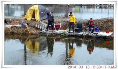 충남 아산 월선낚시터 3월 13일자 조황정보