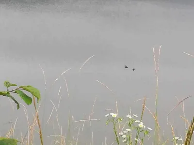 안성 죽산 장계지