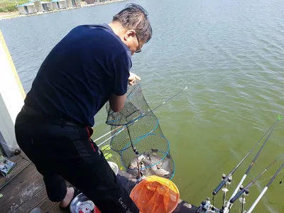 경기도 안성 거청낚시터 붕어조황   7월  28