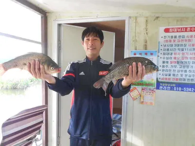 [당진 가교리지]토종 큰 붕어 월척에서 4짜까지..