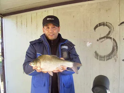 [당진 가교리지] 토종 붕어 조황...