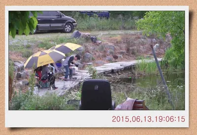 충남 아산 월선낚시터 6월 셋째주 스케치