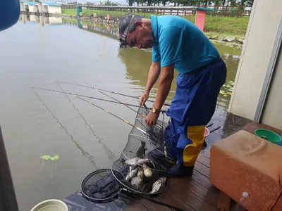 [경기도 안성] 거청낚시터 붕어조황  8월  01 일