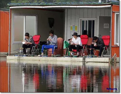 각평지 조황정보