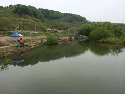 안녕하세요 요룡지 행복낚시터 입니다.^^ㅋ