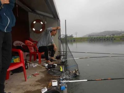 ^^조황소식&수상좌대이벤트^^