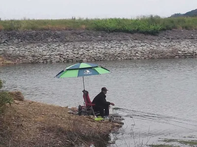 안성죽산장계지