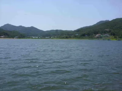 국화지 7월 둘째 주 조황