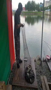 [경기도 안성] 거청낚시터 붕어조황  8월  21일