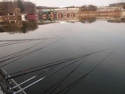 각평낚시터 2월 19일 조황정보