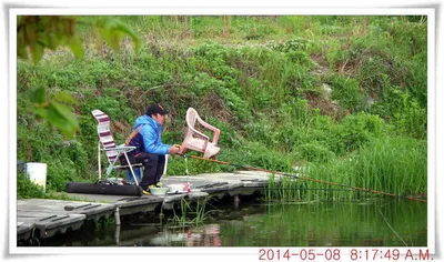 충남 아산 월선낚시터 5월 8일자 조황정보