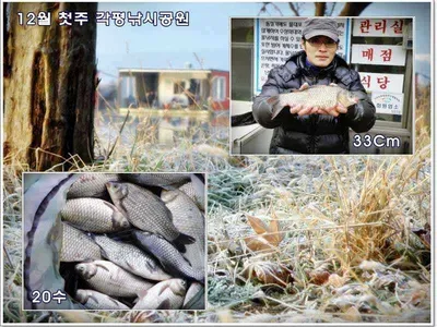 [각평지] 12월 첫째주말 조황정보