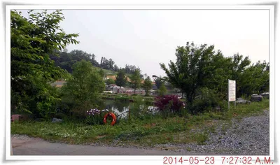 충남 아산 월선낚시터 5월 25일자 조황정보