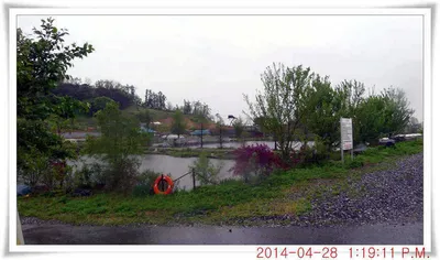 충남 아산 월선낚시터 4월 29일자 조황정보