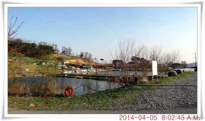 충남 아산 월선낚시터 4월 5일자 조황정보