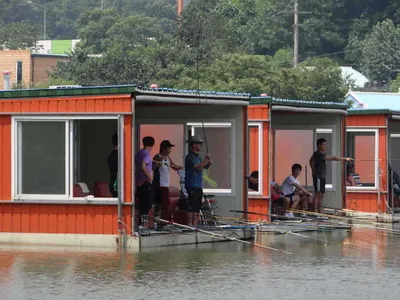 7월 28일 각평지 조황정보