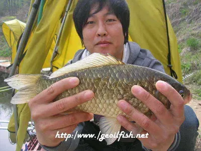 낚시하기 좋은계절