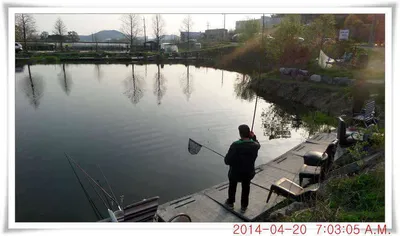 충남 아산 월선낚시터 4월 20일자 조황정보