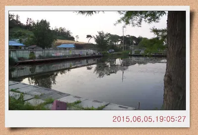 충남 아산 월선낚시터 6월 5일자 스케치