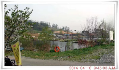 충남 아산 월선낚시터 4월 16일자 조황정보