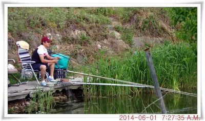 충남 아산 월선낚시터 6월 1일자 조황정보