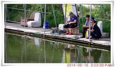 충남 아산 월선낚시터 6월 16일자 조황정보